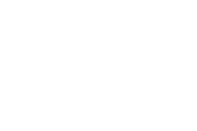 Brand Logo for Desigual